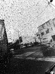rain