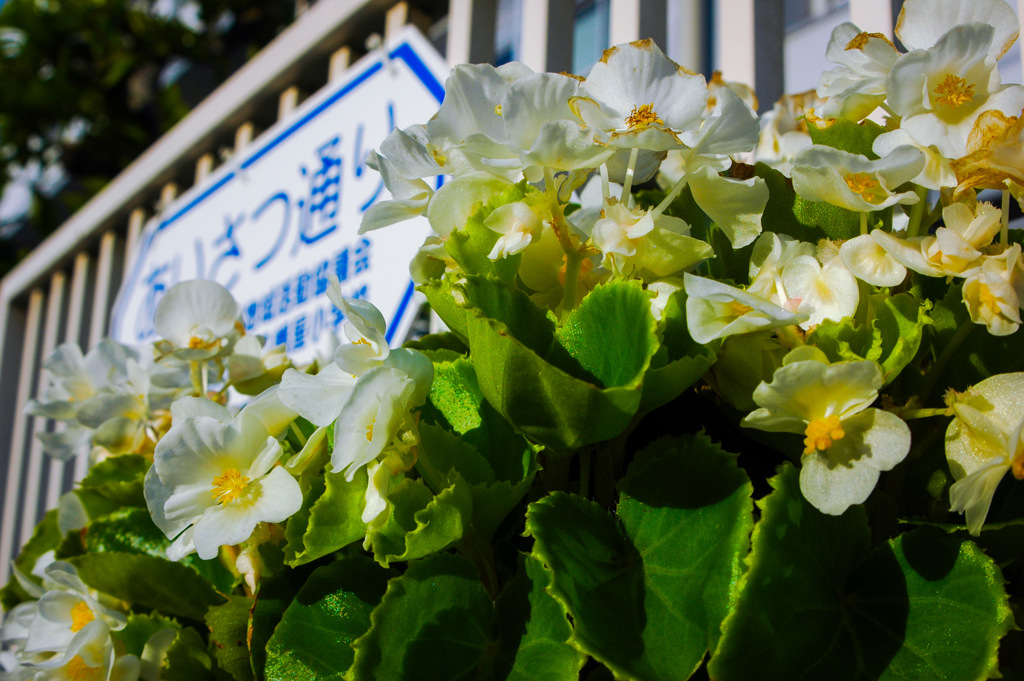 あいさつ通り