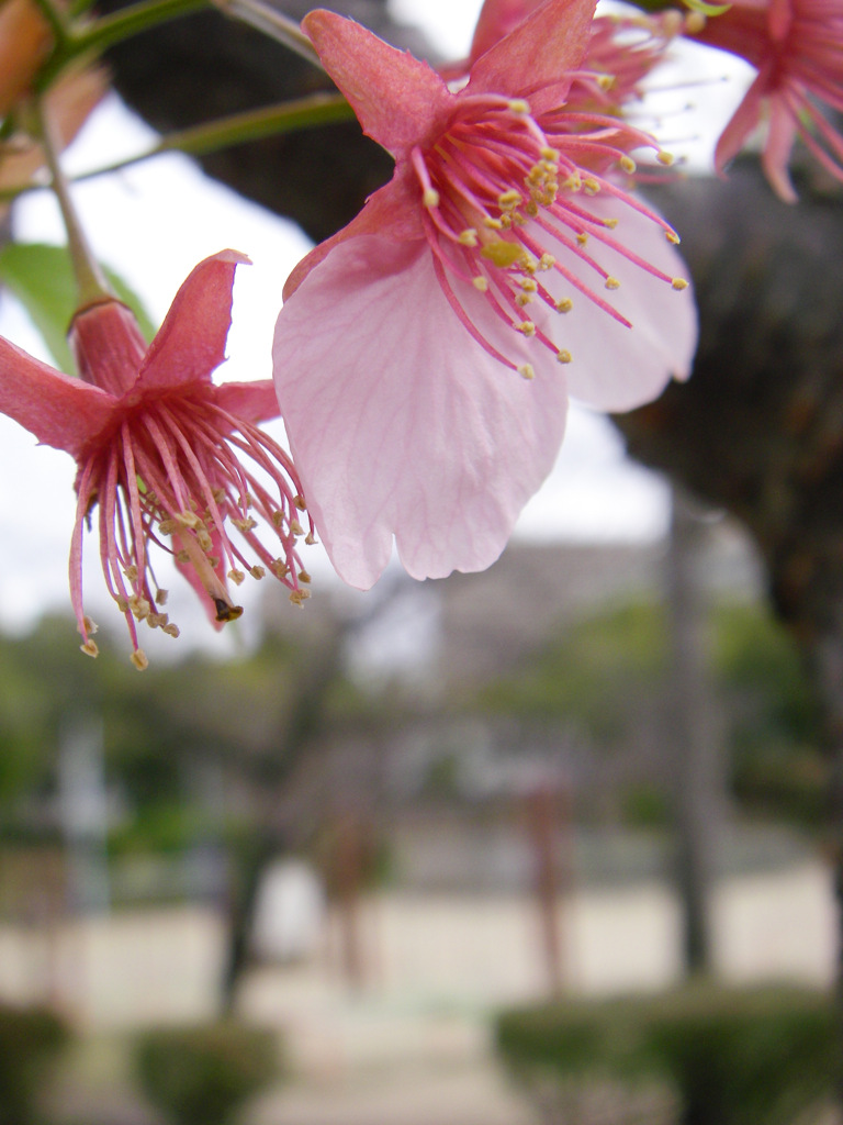 雨上がりの朝