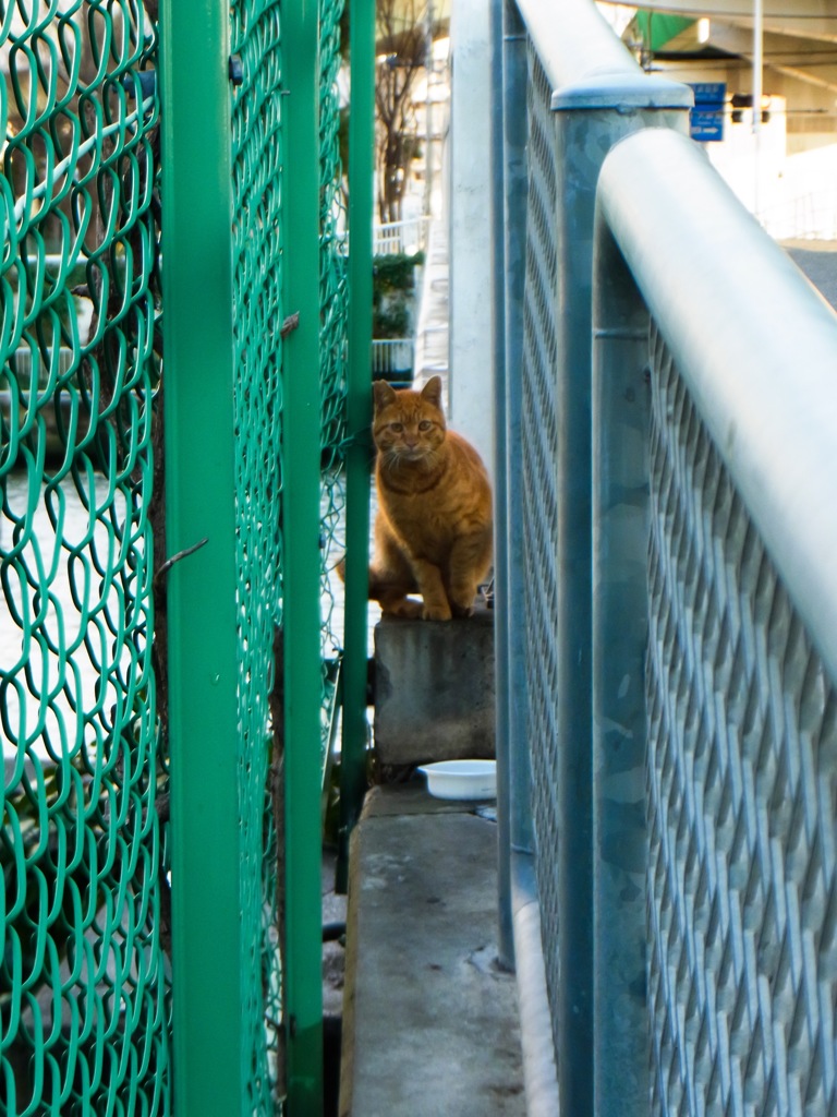 安息の場