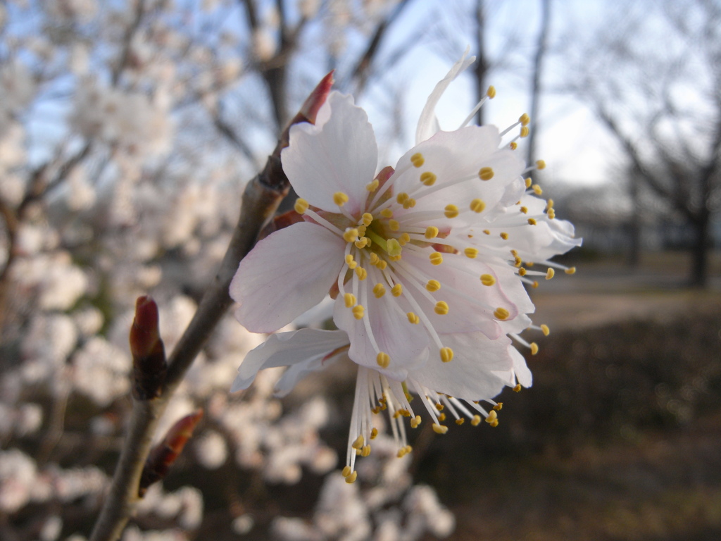 Spring has come!