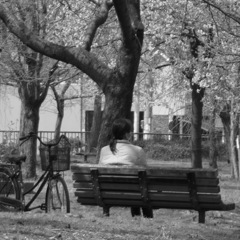 昼休み(-.-)y-., o O