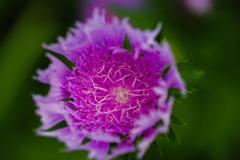 It’s a small world