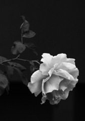 last