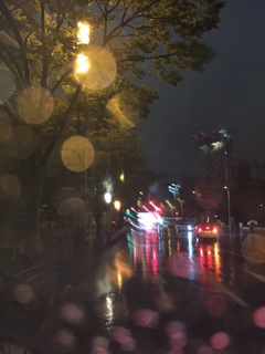 雨降る街
