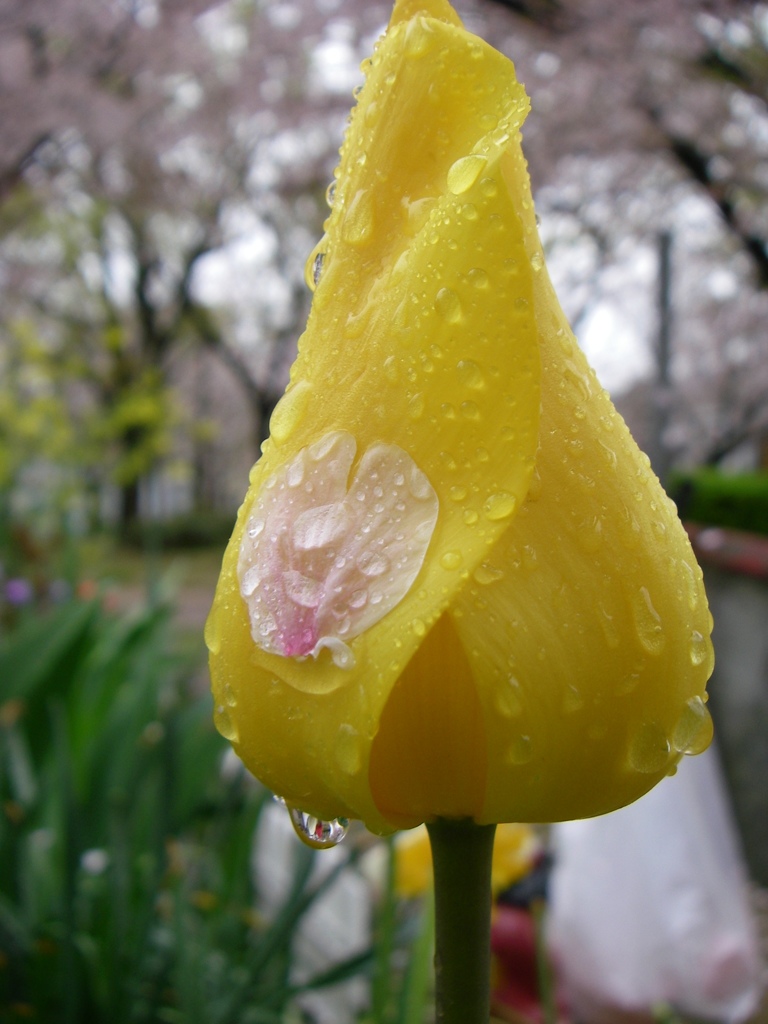 ハートのアップリケ