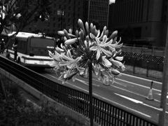 G20大阪サミット