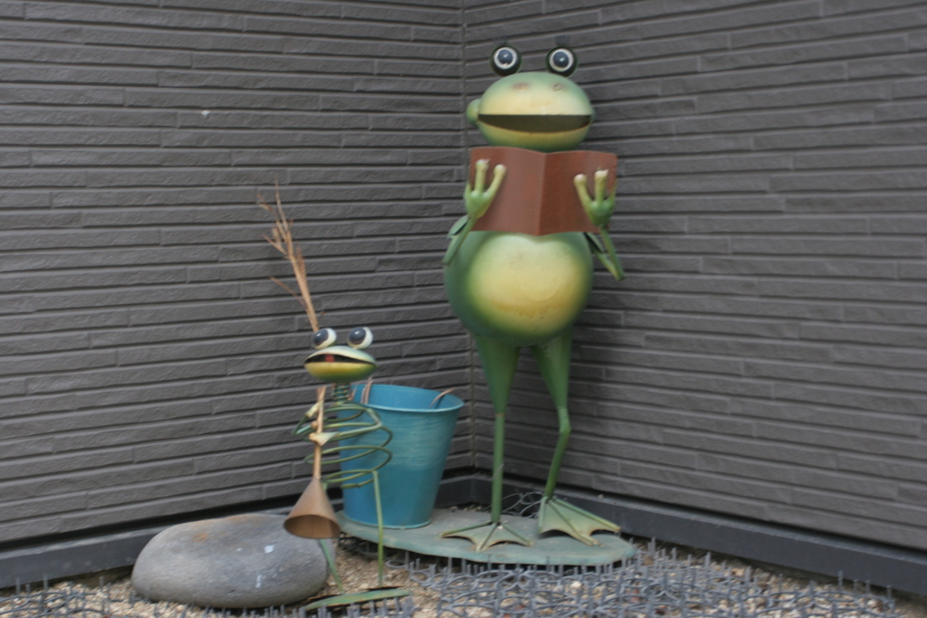 ご近所さん❗️