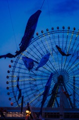 夜空で泳ぐ甚平鮫