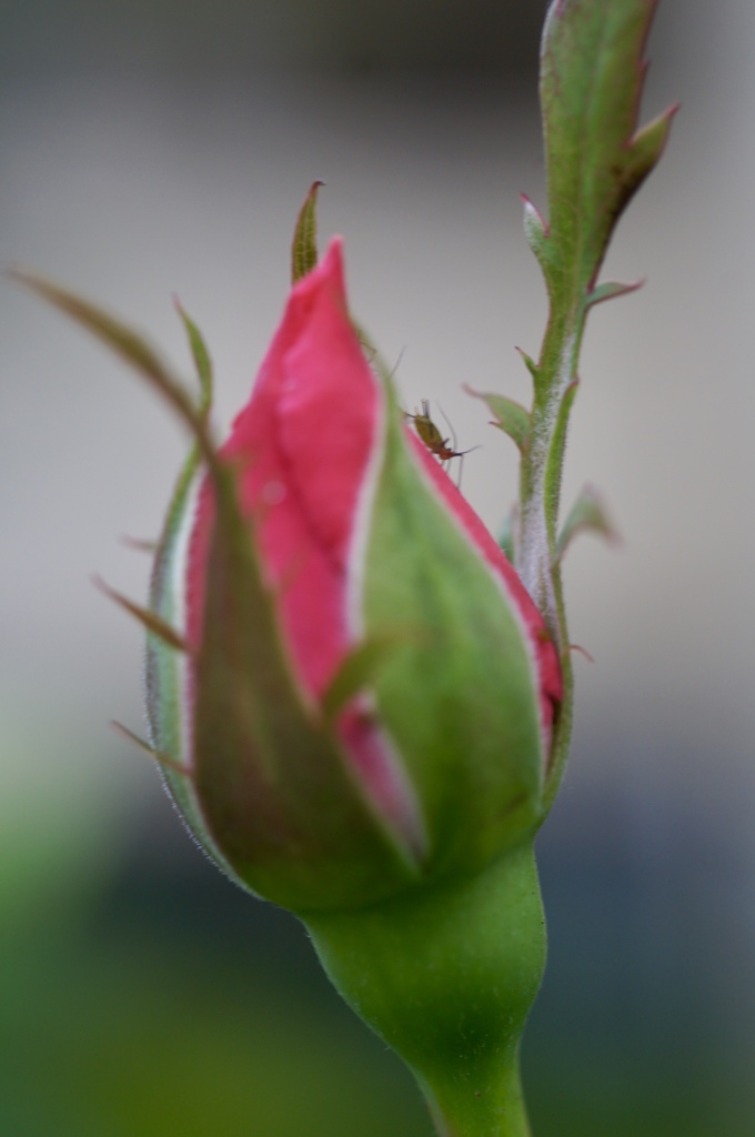 お邪魔しま〜す(^o^)/