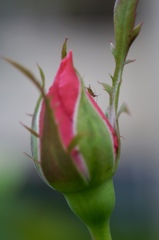 お邪魔しま〜す(^o^)/