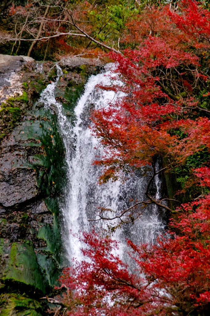 箕面の滝