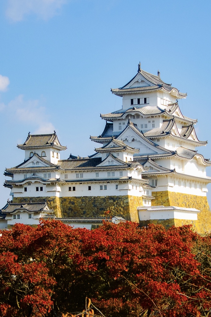 ようこそ、わが家へ