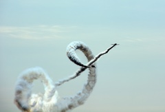 2017年度芦屋航空祭