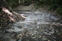 信貴山朝護孫子寺　登山記　道