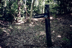 信貴山朝護孫子寺　登山記