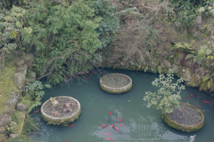 信貴山朝護孫子寺　登山記