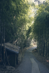 信貴山朝護孫子寺　登山記