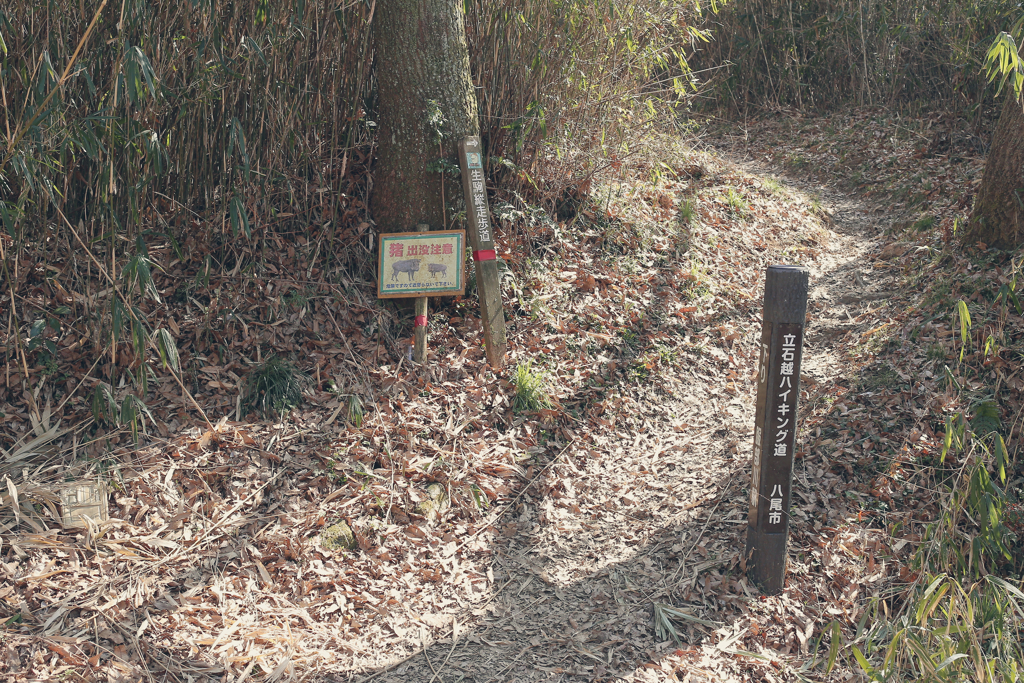 信貴山朝護孫子寺　登山記