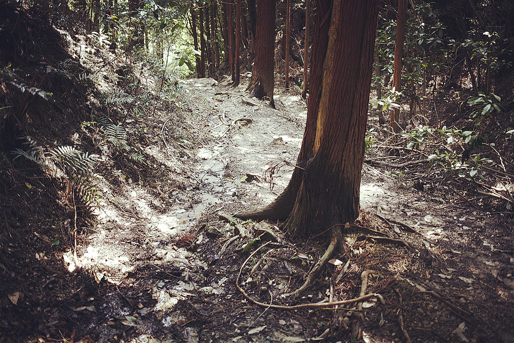 信貴山朝護孫子寺　登山記