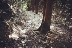 信貴山朝護孫子寺　登山記