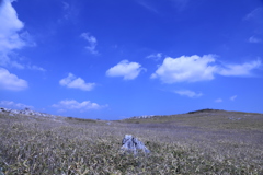四国カルストの青空