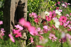 華やぐ般若寺