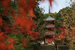 晩秋の宝福禅寺