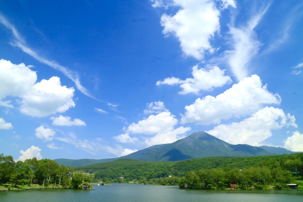 高原の風と夏の空