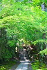 松島 円通寺