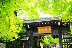 常寂光寺