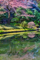 小石川庭園
