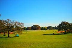 昭和記念公園