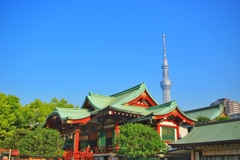 亀戸天神社とスカイツリー