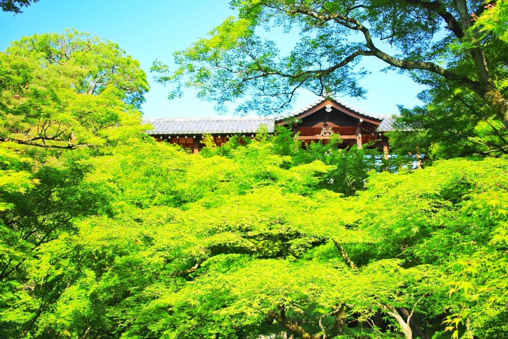 東福寺