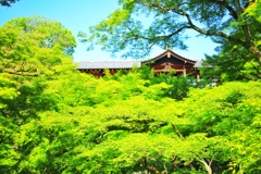 東福寺