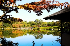 昭和記念公園