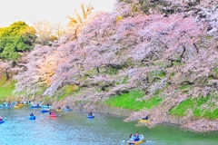 千鳥ヶ淵