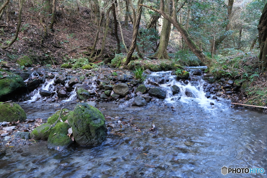 山吹水源①