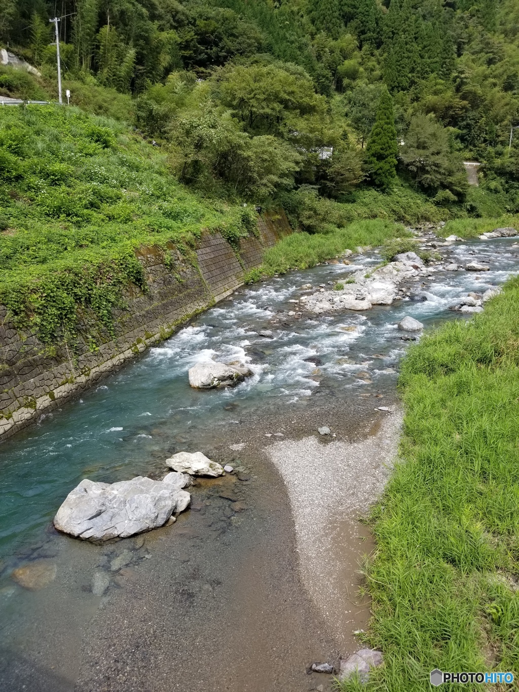 尾向小学校横