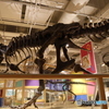 撮って出し　国際科学博物館　⑪