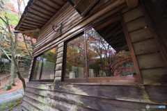 仁比山神社の秋⑫