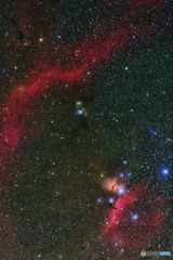 オリオン座の星雲たち