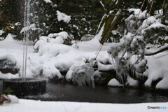 兼六園　⑨