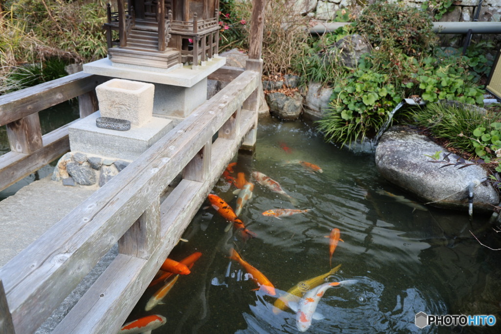 東山繁多寺　➂