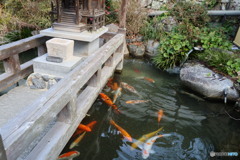 東山繁多寺　➂