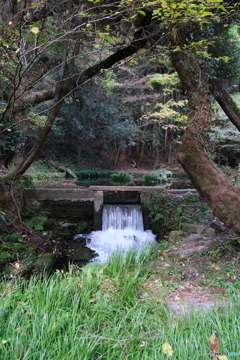 山吹水源③