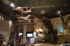 撮って出し　国際科学博物館　23