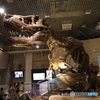 撮って出し　国際科学博物館　23
