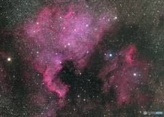 NGC7000　北アメリカ星雲　（2016年再処理拡大）